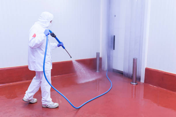 Best Driveway Pressure Washing  in Dix Hills, NY